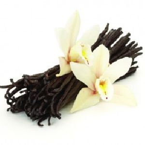 FRENCH VANILLA FRAGRANCE OIL