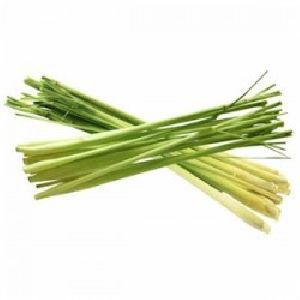 Lemon Grass oil