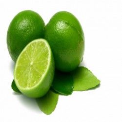 Lime Oil