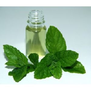 Mentha Piperita Oil