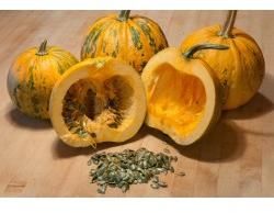 Pumpkin Seed Oil