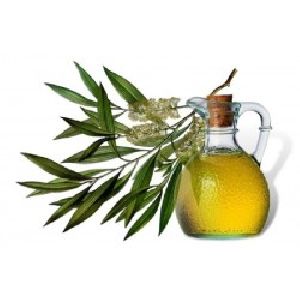 Tea Tree Oil