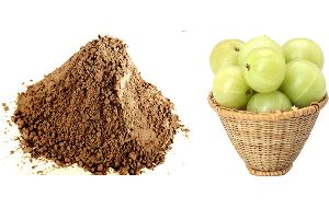 Amla Extract