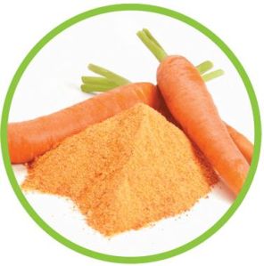 Carrot Powder