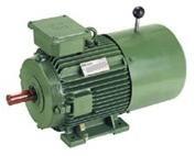 AC 3 PHASE BREAK MOTOR