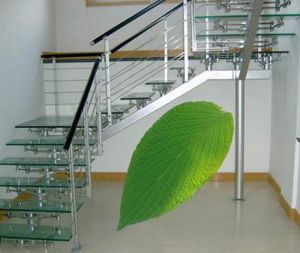 Stainless Steel Staircase