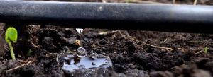 inline drip irrigation systems