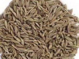 Cumin Seeds