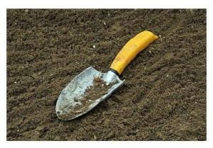 Trowel