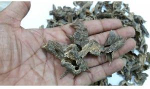 MURI AGARWOOD CHIPS