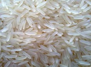 1121 Sella Rice