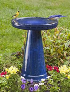 Bird Baths