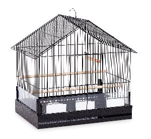 Bird Cages