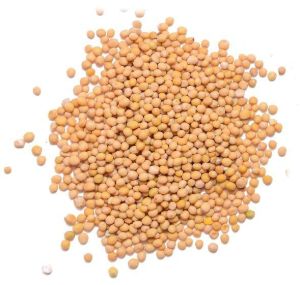 Mustard Seeds