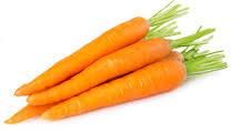 Fresh Carrot