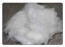 loose fiber