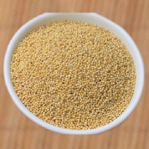 Barnyard Millet (kuthiraivali Rice)