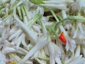 Fresh Tuberose Flower