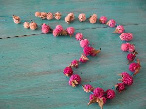 Gomphrena Globosa Flower Garland