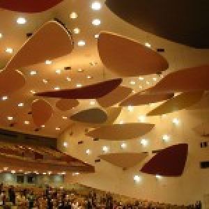 Acoustic Beam Panels