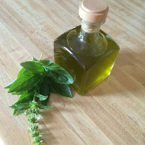 Anethole Ex Basil oil