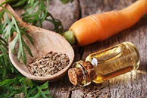 Carrot Seed Oil