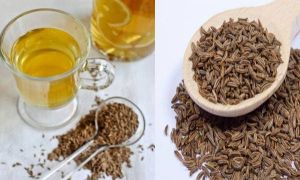 Cumin Seed Oil