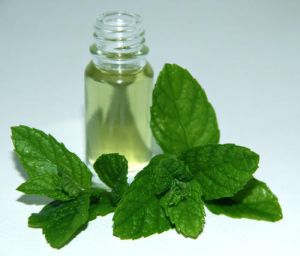 Peppermint Oil