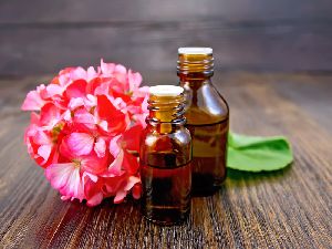 Geranium Essential Oil