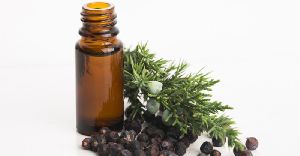 Juniper Berry Essential Oil