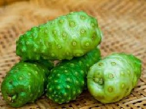 fresh noni fruit