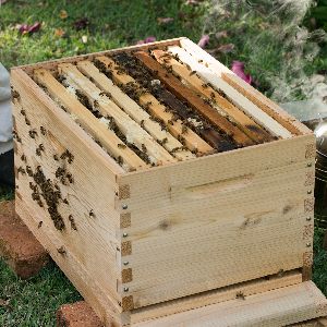 Wooden Beehive Box