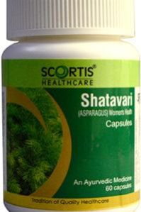 Shatavari Capsules