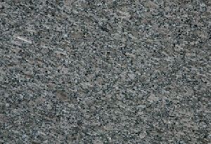 chikoo pearl granite