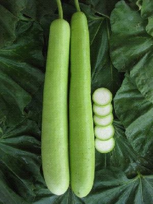 Bottle Gourd Seeds