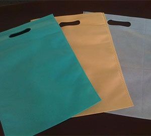 Non-Woven Bags