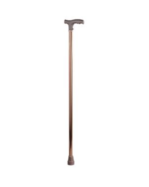 Walking Stick