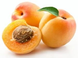 Apricot