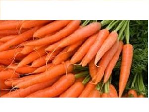 Carrots