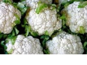 Cauliflower