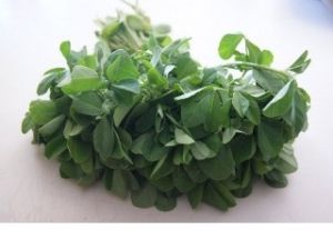 Fenugreek Leaves