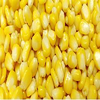 Sweet Corn