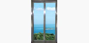 Big vision Glass Auto Door