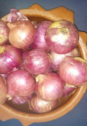 Onion