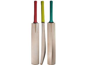 Cricket Bat