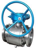 Globe Valve