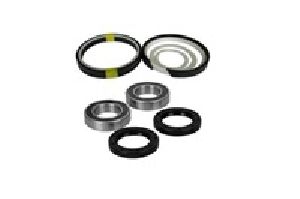 Hydraulic Cylinder and Seals