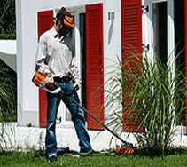 Cordless Brush Cutters