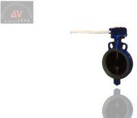 Butterfly Valve