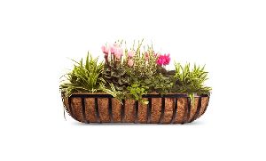 Coir Wall Planters